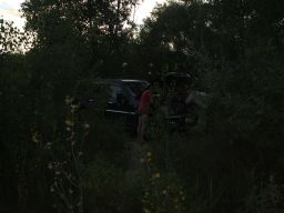 exp-zr-2009 244
